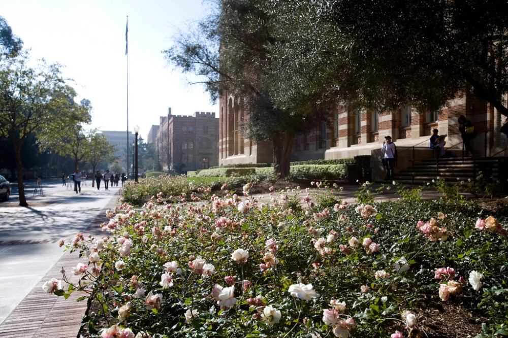 Side view of Haines Hall ---- Photo Credit: Stephanie Diani