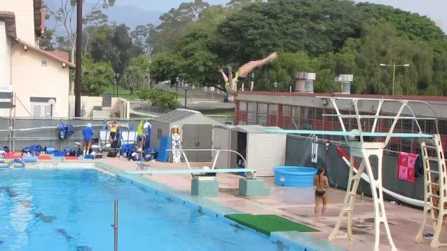 UCLA Swimming and Diving Meet at UCSB----Photo Credit: Gina Provenzano