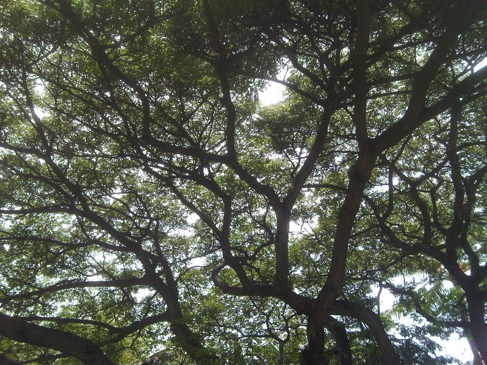 Interesting things are all around you!----Photo Credit: Princeton Ly