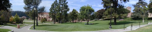 View of Lawn by Janss Steps--- Photo Credit: UCLA Undergraduate Admissions