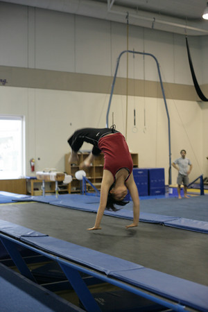 Photo Credit: Stephanie Diani