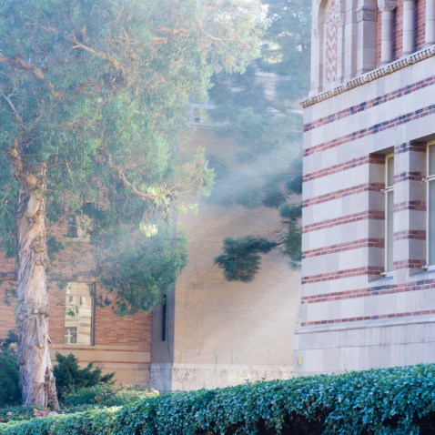 Morning light between campus buildings--Photo Credit: © 2010 Elena Zhukova